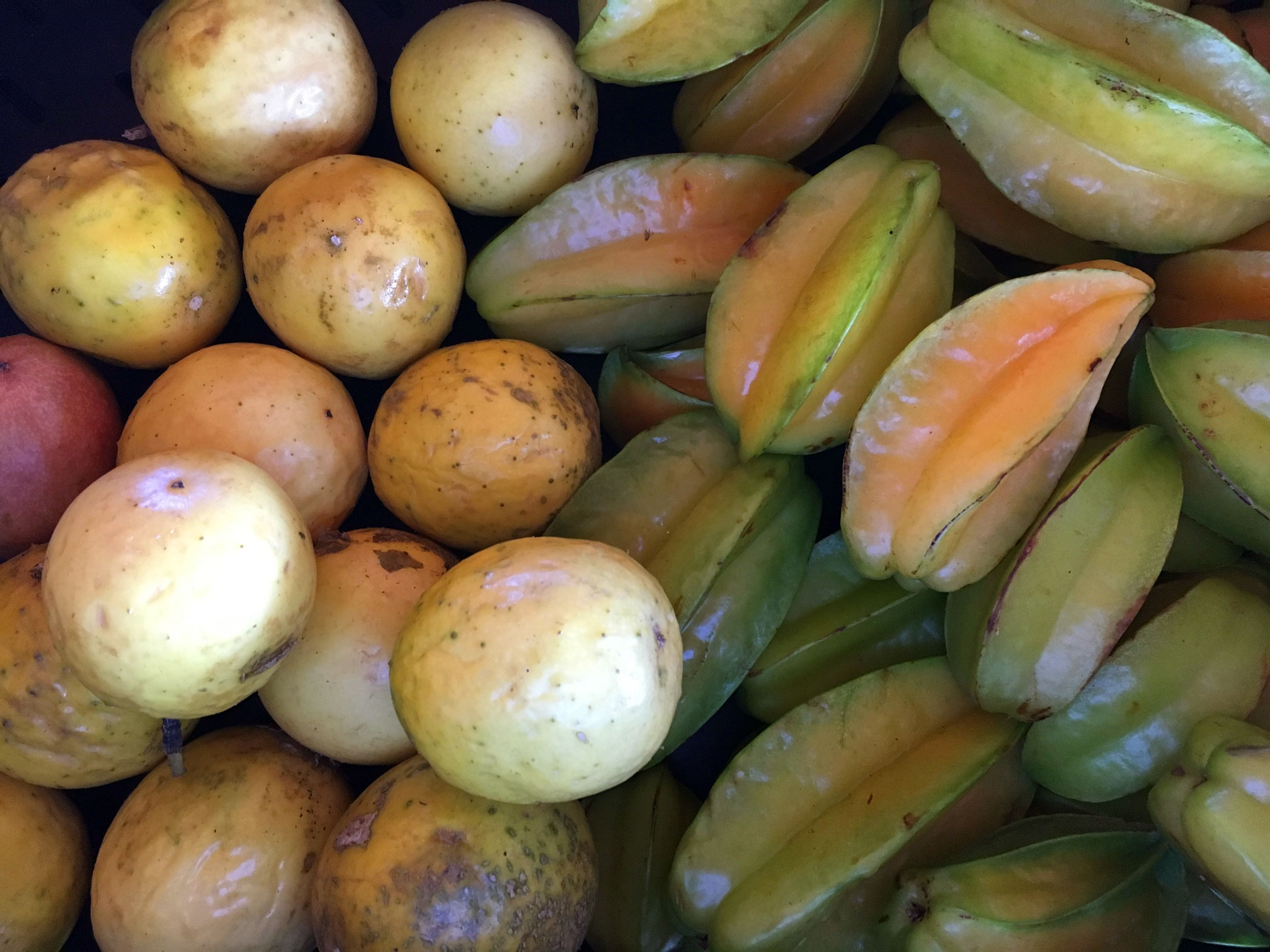 Photo Gallery – Cayman Farmers' Market - Cayman Farmers' Market